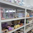 씨티라이프 | 인천 파충류샵 추천 │ 도마뱀라이프 인천루원시티점에서 도마뱀 분양 후기