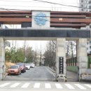 동아목련 이미지