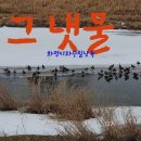 그 냇물 이미지