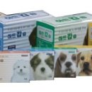 금성당약국 이미지