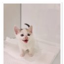 아이조아요양호텔 이미지