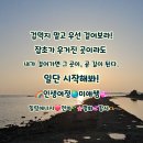 시작 티스토리