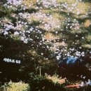 (주)사랑으로 | 260227 20s 마지막 ‘사랑으로 0.3’