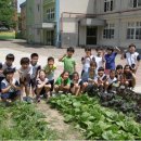 인성농장 이미지