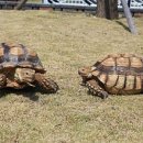 박영환농장 이미지