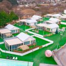 데려가시개 | 우리도 데려가시개🐾 개인수영장이 있는 저렴이 가평 애견펜션 삐삐풀램핑