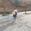 전재울근린공원 유아숲체험원 이미지