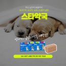 남천약국 이미지