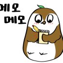 주인완도너츠 이미지