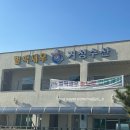 벌떡새우 | 9~12월은 대하철! 바다뷰가 좋은 사천 새우구이맛집 벌떡새우
