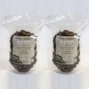 지리산 나무처럼 이미지