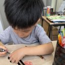 푸른피아노교습소 - 관악구 낙성대역길 35 | 푸른피아노교습소