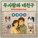 복실방앗간 | 강아지야채간식 추천 컬리샛별배송 가능한 복실방앗간 수제간식 비건 100% 채소 - 오사케칩