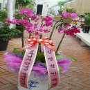 이산부인과의원 이미지