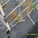 한구농장 이미지