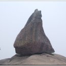 황매산 벚꽃길 이미지