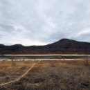 행정사사무소 세종 이미지