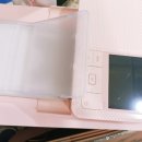 털찐댕댕이 이미지