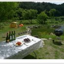 둥지캠핑장 이미지