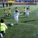 화성유소년축구클럽 이미지