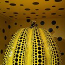 Happiness puppy 이미지