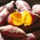 바디채널 첨단점 이미지