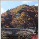 경상도영주제명기 | 포항 오어사(吾魚寺)-&gt;경주 기림사(祇林寺)-&gt;불국사(佛國寺)(2008.11.13)