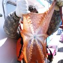 해변 낚시 마트 이미지