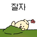 돌리츠