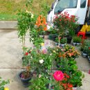 남대천새벽시장 이미지