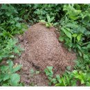 모운동펜션민박 이미지