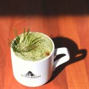 솔잎커피숍 이미지