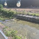 사과집민박 이미지