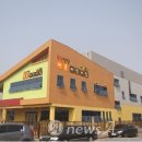녹산산단바른어린이집 뉴스에이