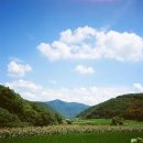 보림칼라 네이버블로그