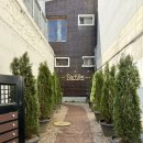 바이스앤 대구(주) | 대구 목련 카페 새들스커피앤바 평일 오픈런 후기