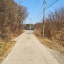 남선초등학교 이미지