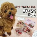 오리면돼지 | 여름철 강아지 보양식, 우리 댕댕이를 위한 봄봄자연식 체험팩 급여 후기