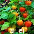 548 이미지