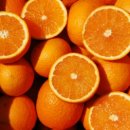 주화농장 이미지