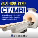 경기북부 24시 동물병원 해든 동물병원 양주점 야간진료후기 (고양이 위염)