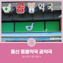 곰약국 이미지