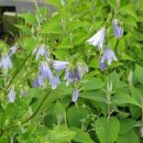 동의보감해독한의원 이미지