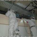 별빛소랑 이미지