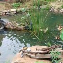 물레방아공원 이미지