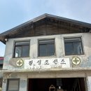 칠성사 | 속초 강아지동반카페 칠성조선소 방문후기