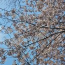 서부여성회관(10) 이미지