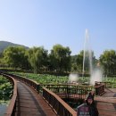 대가야테마관광지 물놀이장 이미지