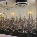 오늘의 파스타 | 사진 찍기 딱 좋은 오늘의 메뉴! 김치 필라프와 베이컨 파스타 먹어본 후기