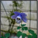 정희농장 이미지